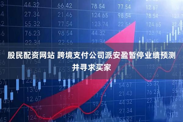 股民配资网站 跨境支付公司派安盈暂停业绩预测并寻求买家