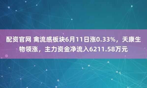配资官网 禽流感板块6月11日涨0.33%，天康生物领涨，主力资金净流入6211.58万元
